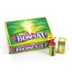 bonsai-1er-schtl