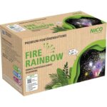 fire-rainbow-8er-fontaenenbatterie