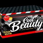 cool-beauty-44-schuss-feuerwerk-batterie