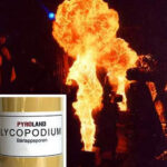 lycopodium-qualitaetsstufe-leicht-1kg