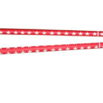 sternfackel-typ-c-tricolore