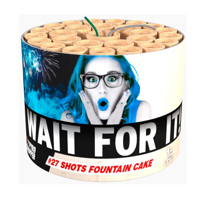 wait-for-it-fontaenenbatterie