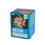 wintersun-16-schuss-feuerwerk-batterie
