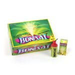 bonsai-1er-schtl